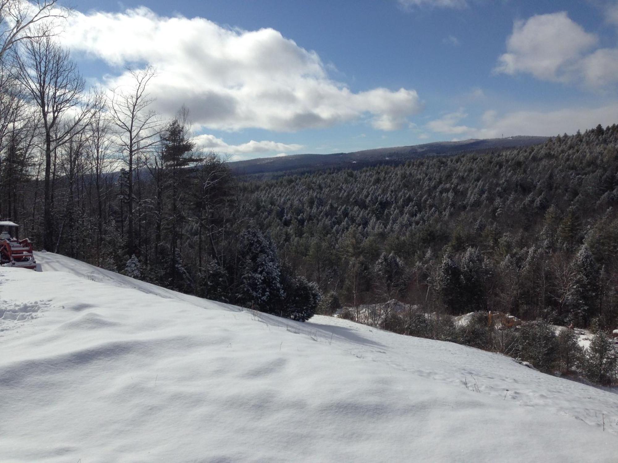 Adams Hill House Retreat - Artist-Architect'S Estate, Newfane Vermont Luaran gambar