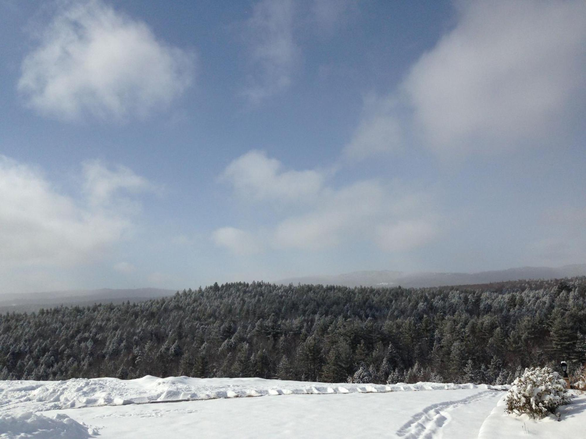 Adams Hill House Retreat - Artist-Architect'S Estate, Newfane Vermont Luaran gambar