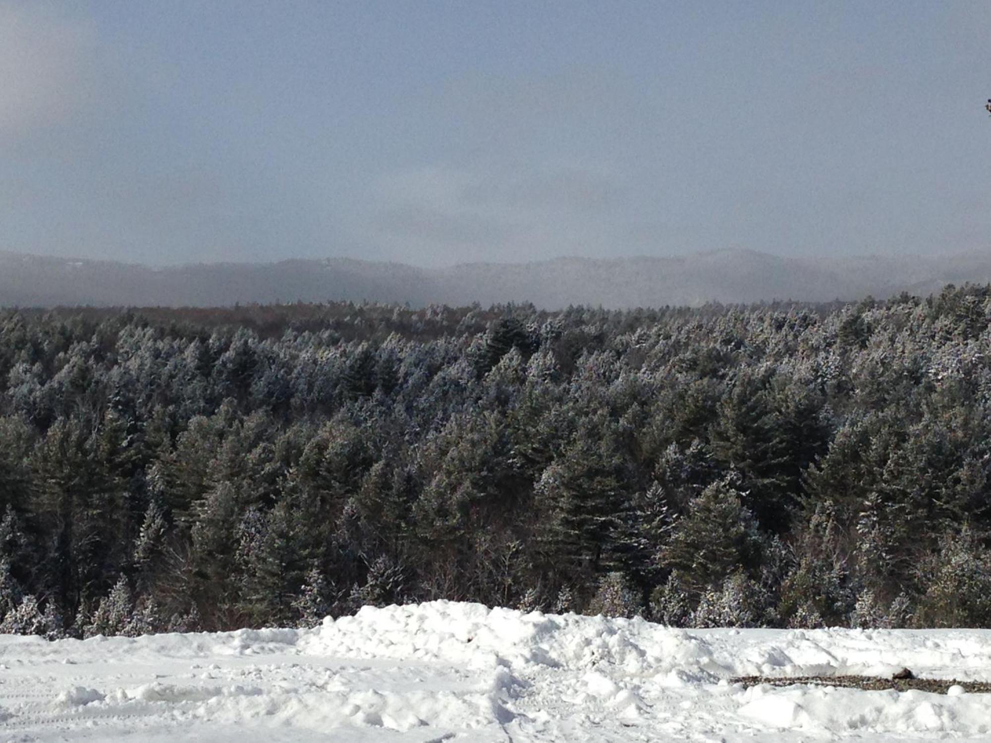 Adams Hill House Retreat - Artist-Architect'S Estate, Newfane Vermont Luaran gambar