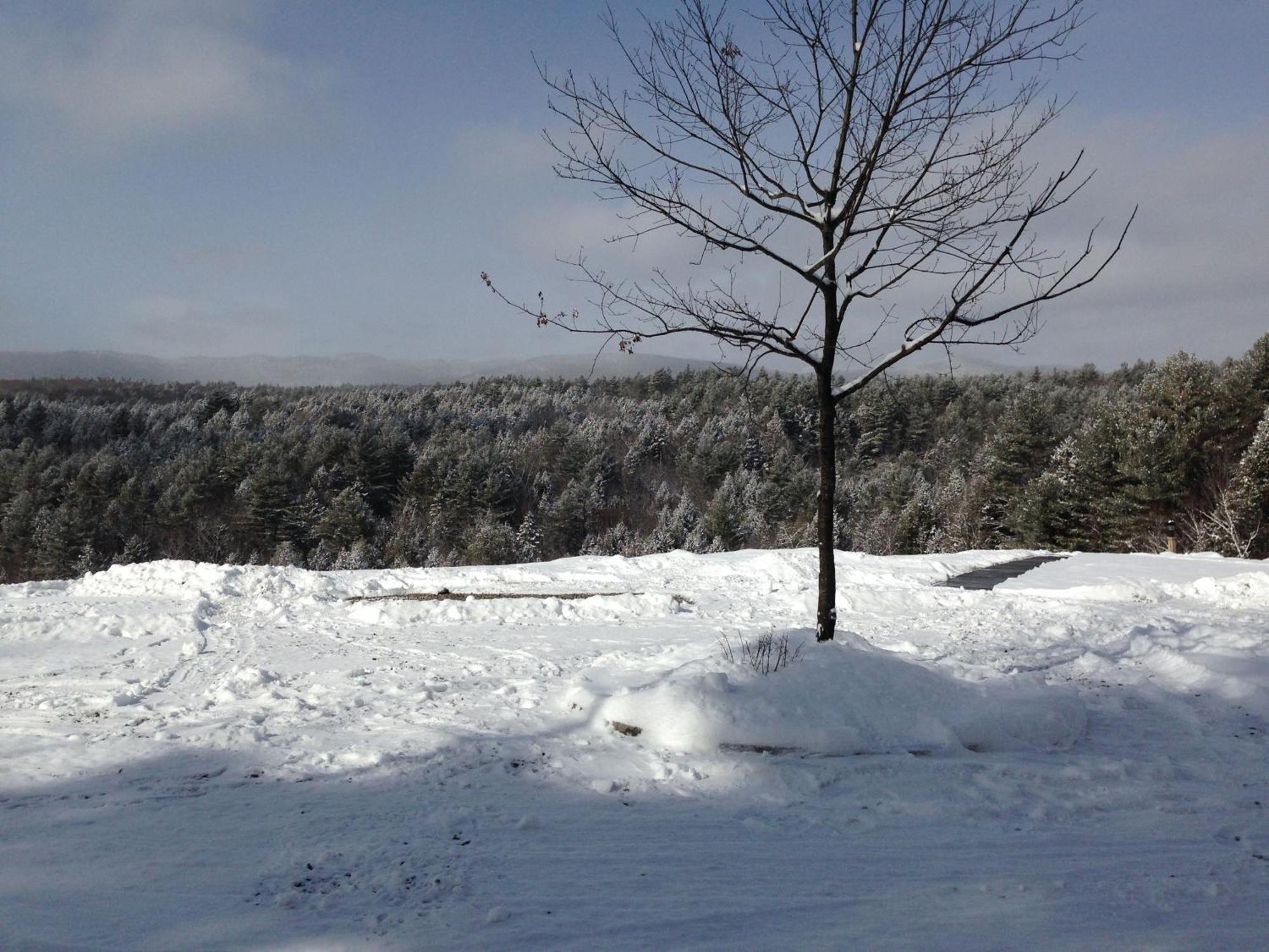 Adams Hill House Retreat - Artist-Architect'S Estate, Newfane Vermont Luaran gambar